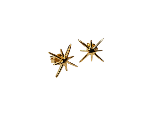 Star Stud Earrings