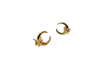 Moon-Star Stud Earrings